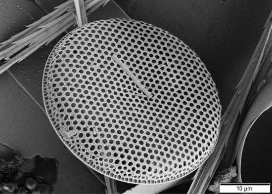 硅藻土微孔陶瓷過(guò)濾膜的優(yōu)勢(shì)